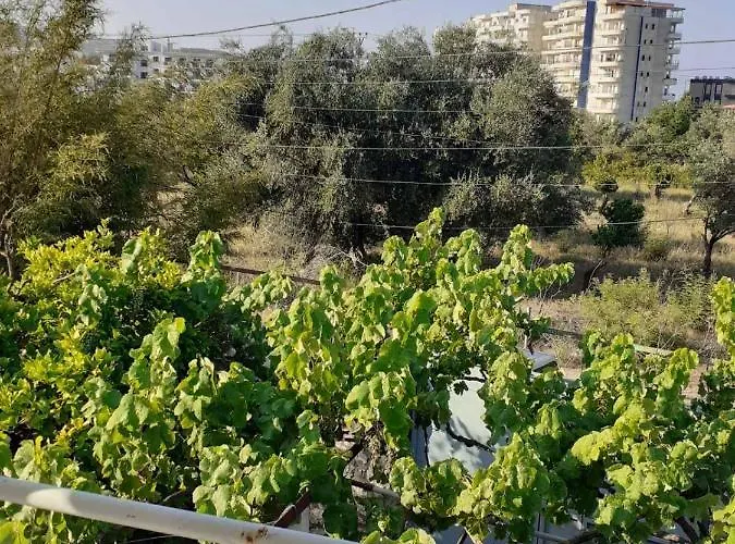 Little 1 בית הארחה הימארה
